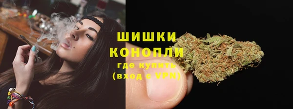 сатива Абинск