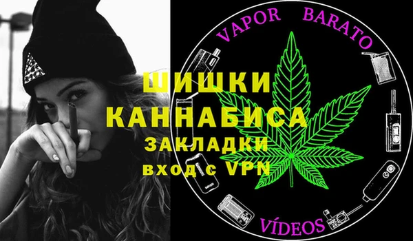 сатива Абинск