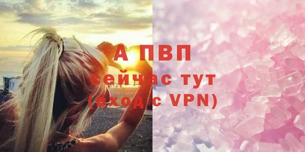 сатива Абинск